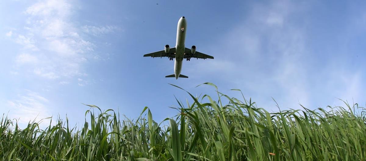 5456011986741881 cats