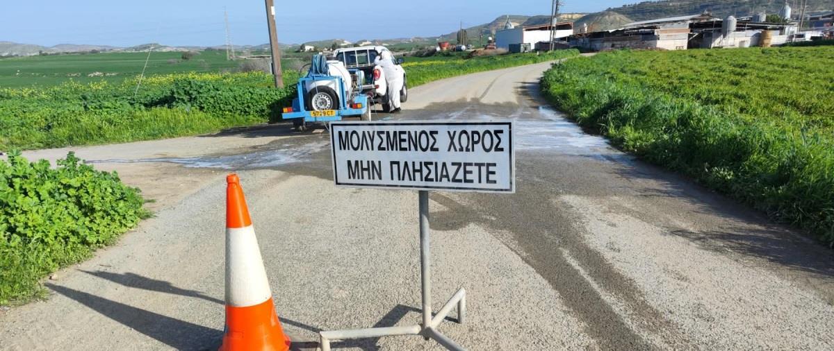 5456597008266757 image