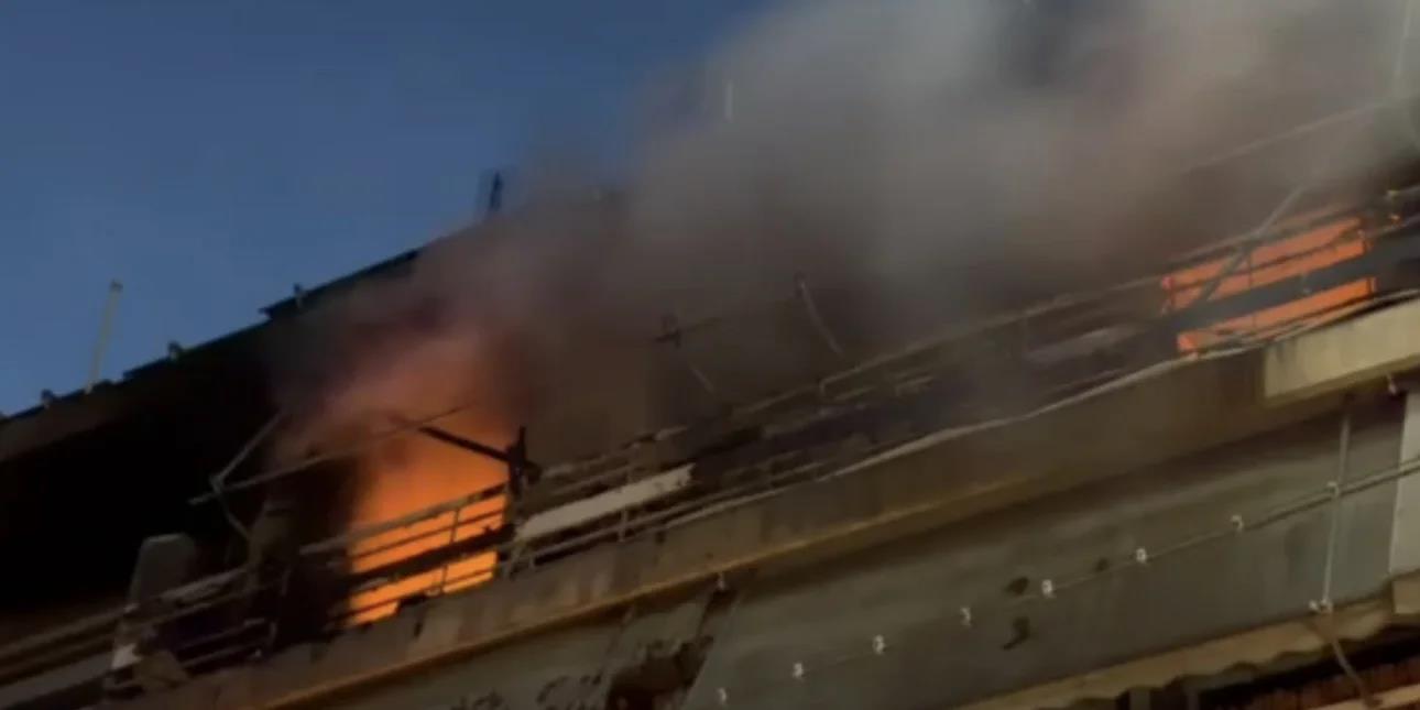 5457336090316697 image