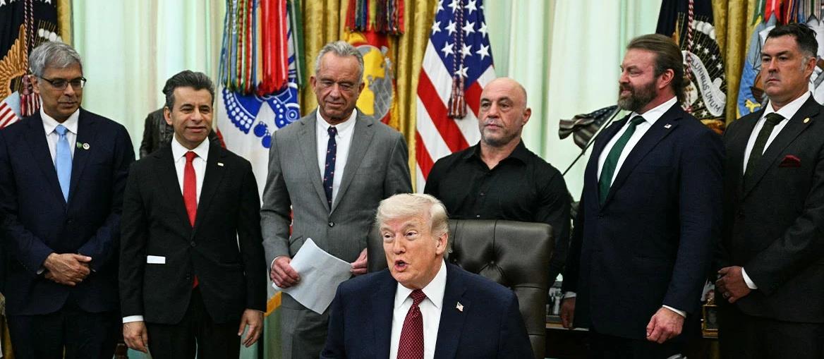 5457648210683878 cats