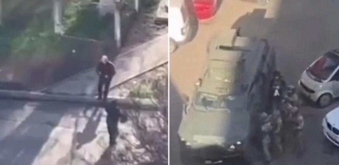 5457701705236635 cats