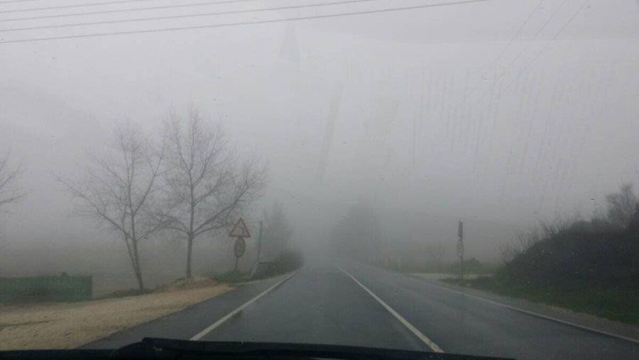 5458194684234084 b omixli1.2e16d0ba.fill-1600x900