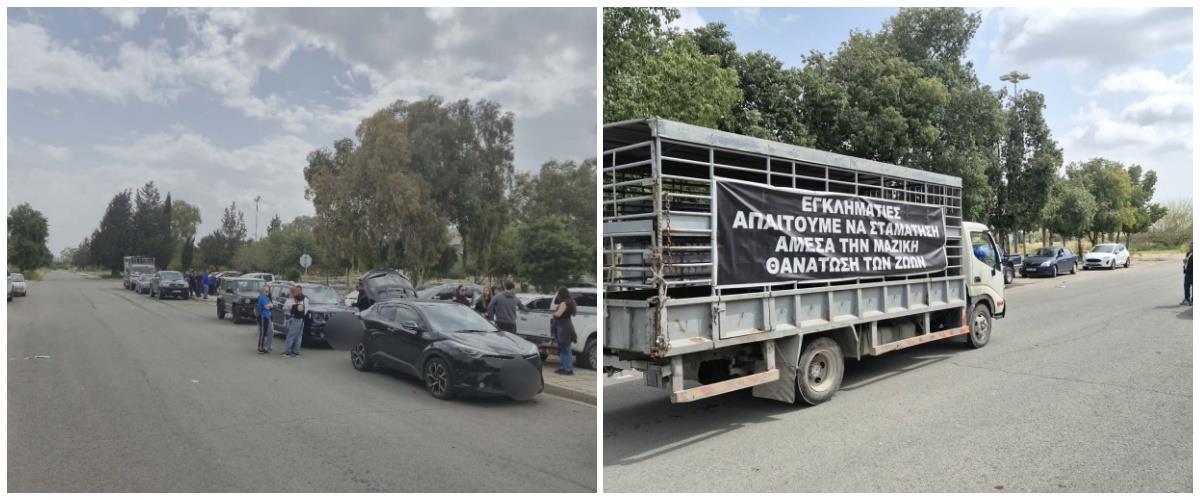 5458278883862613 collage