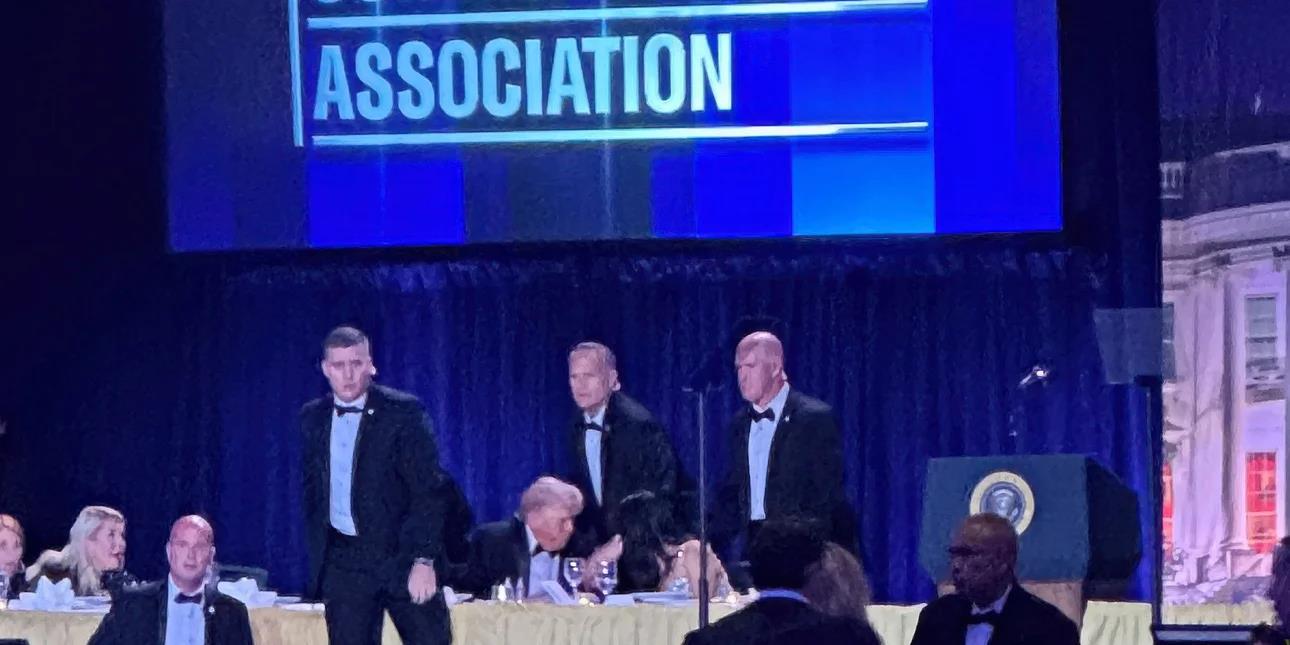 5465346441174128 image