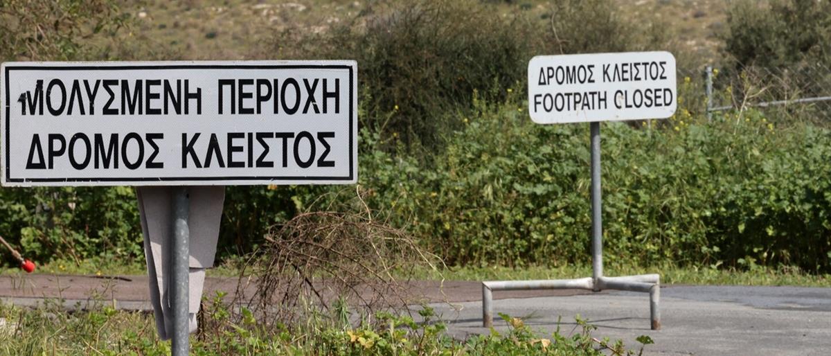 5466082849161281 cats