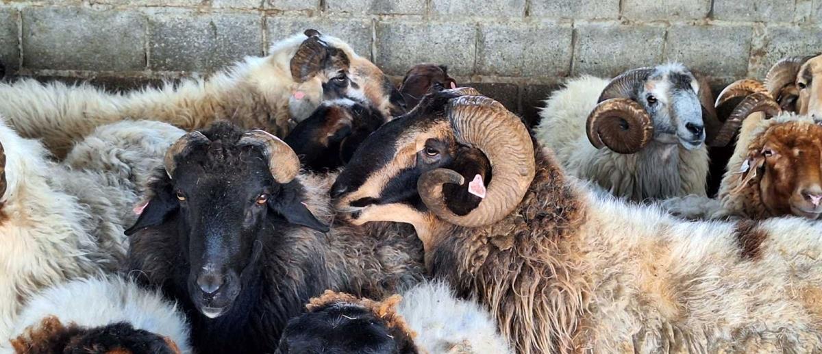 5466107259149467 DOC.20260428.10203352.provata