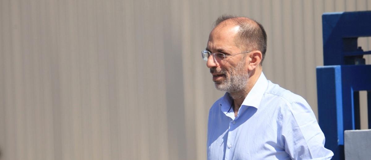 5466132353115436 cats