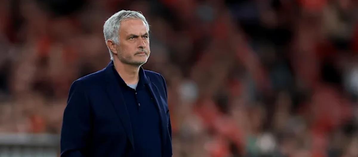 5466815591224792 cats