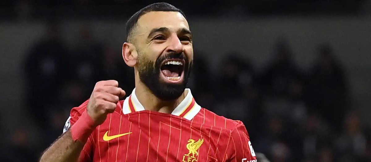 5467023187303624 cats