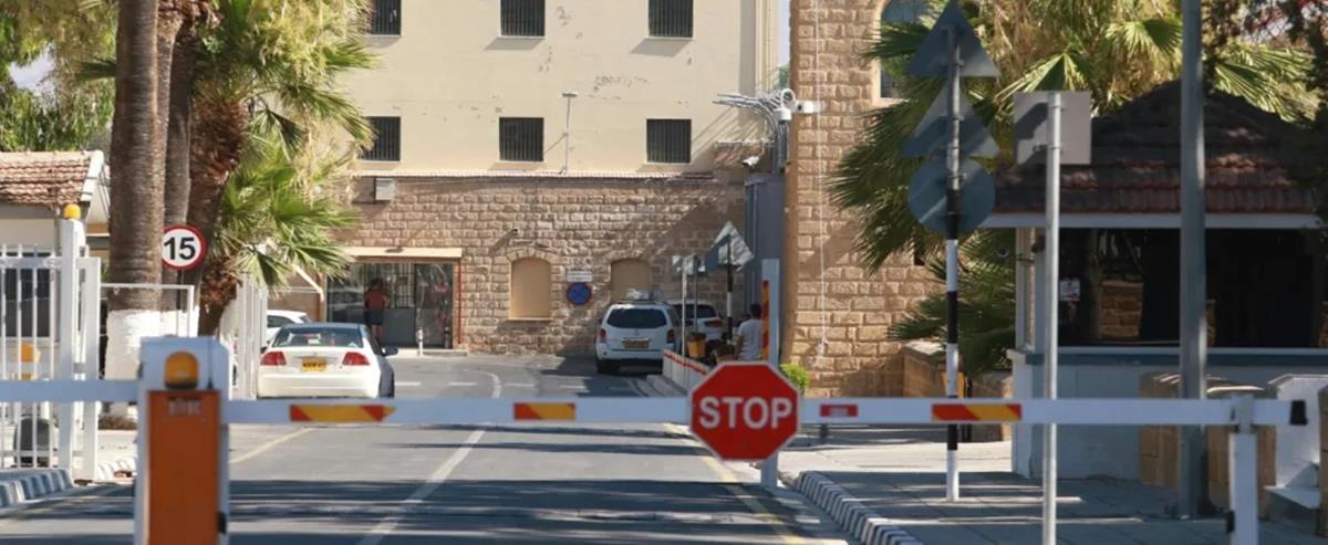 5467645921815494 cats