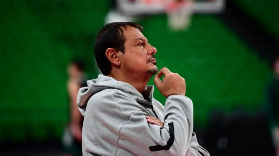 5474137135514287 ataman-valencia4o