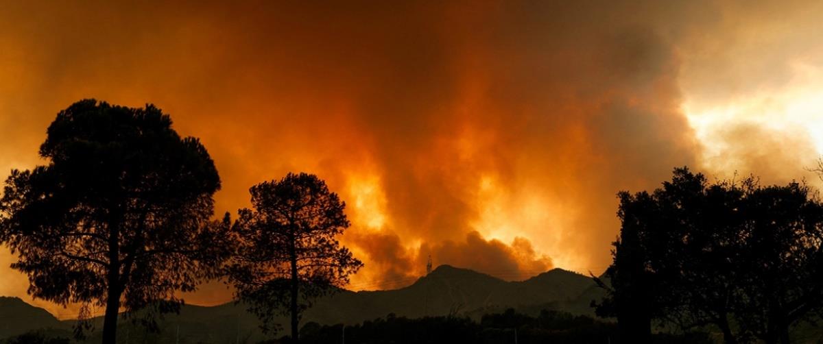 5542974546909310 spain-wildfire-mak