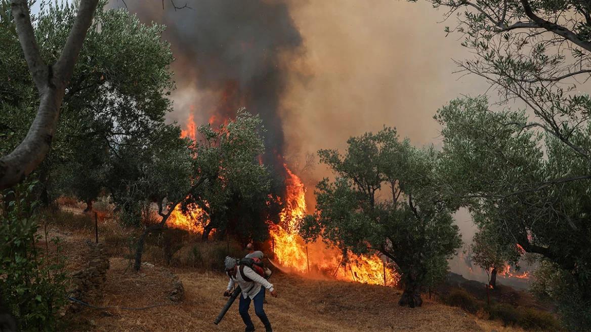 5546363570202603 image