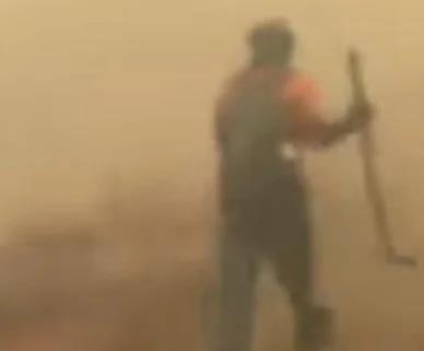 5547152043662456 image