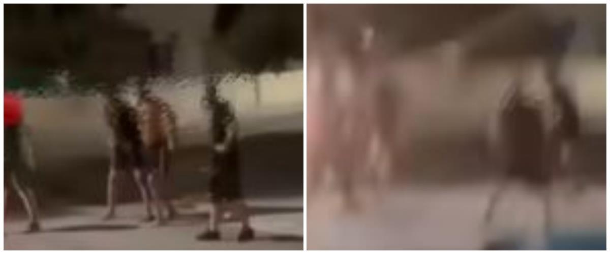 5564447378658028 collage