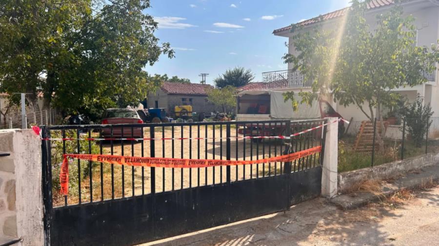 5570014498020217 rodopi