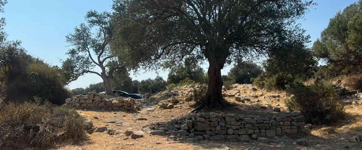 5576760694434129 DOC.20260903.10820922.paphos