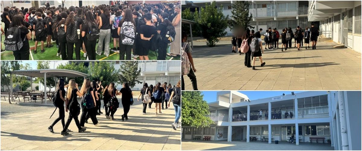 5580102690935994 collage