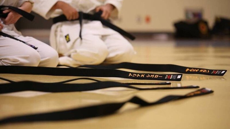 black-belt-g82bbcb5b8_1280