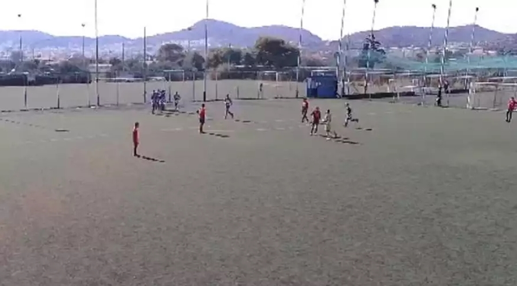 fcacfc5b-de5c-4d09-99f6-6c3e8b3e0a6f.jpg