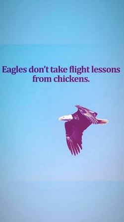 6076ae26-2826-4c20-8c5b-131339bc0195.jpg