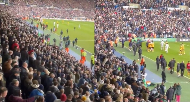 wolveswestbomr_2