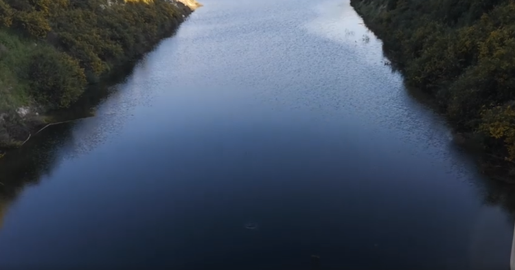961d94f3-ca3f-4eec-83c6-36bec377f495.jpg