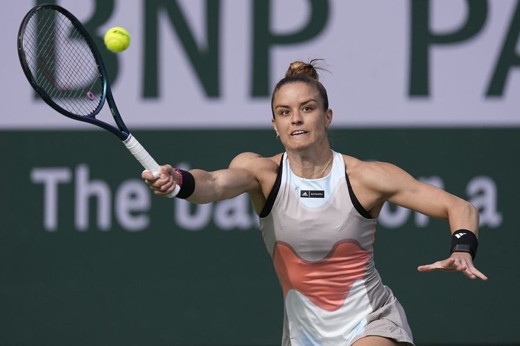 sakkari