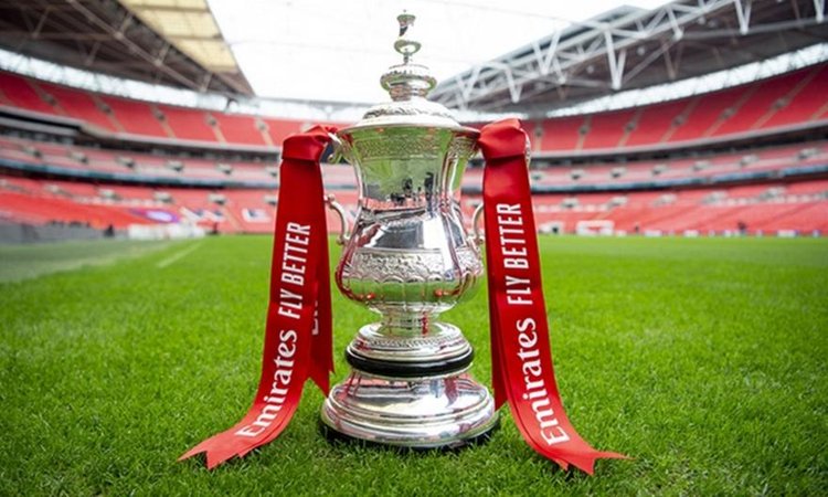 090419-800-fa-cup-pitch-wemble_140913