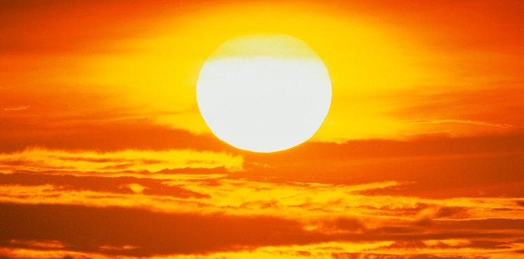 aa977c25-f2cf-4fb9-a74a-76788fff5efb.jpg