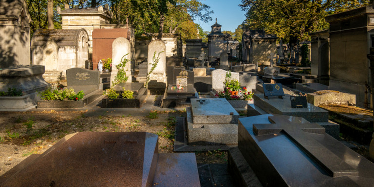 e7200c39-7fbf-4d83-a047-acb4ea3844aa.jpg