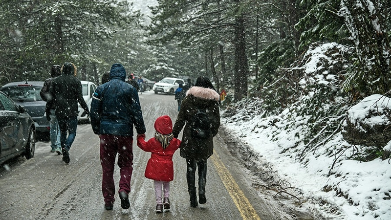 9e488385-7cf6-4979-87d7-939925ab2bf6.jpg