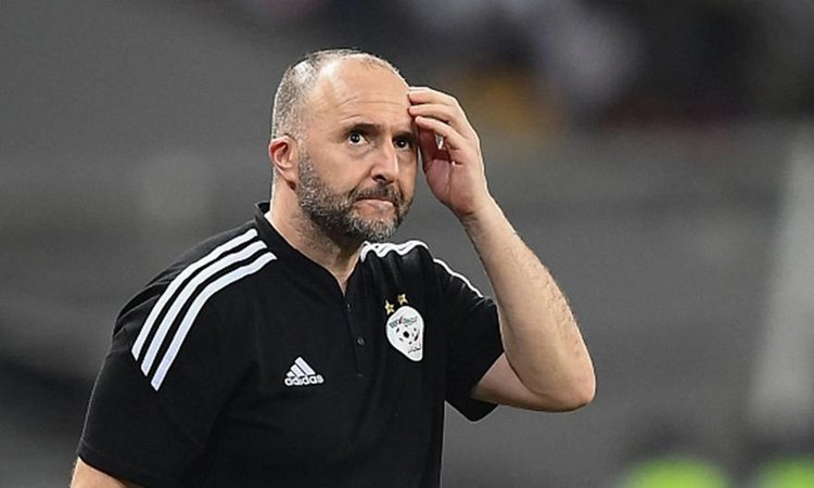 belmadi_015035