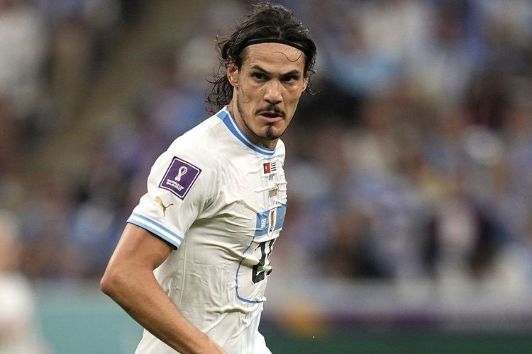 cavani