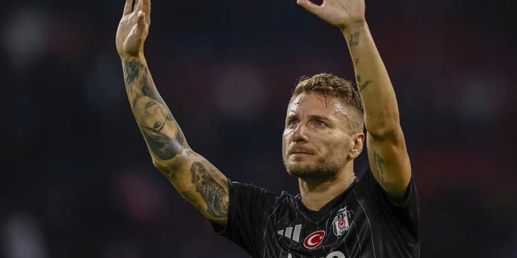 immobile.jpg