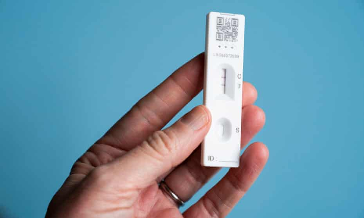 a49c3bae-cf7d-41a1-9266-9d1fe41482cb.jpg