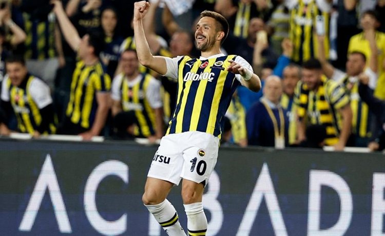 tadic_223313