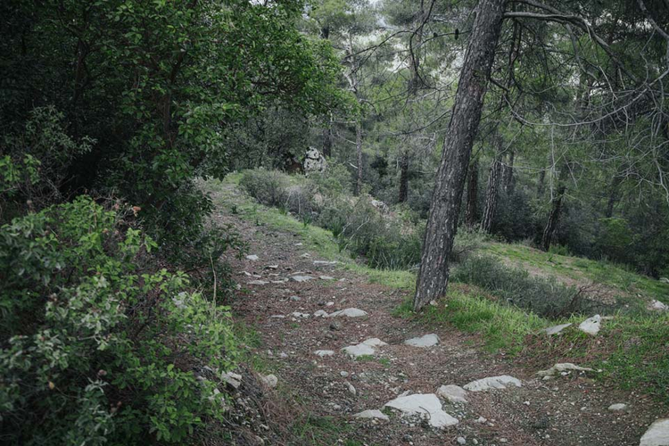 09719625-fb04-4ca8-9559-cb4887581648.jpg