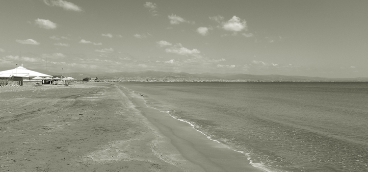 455122_57.jpg