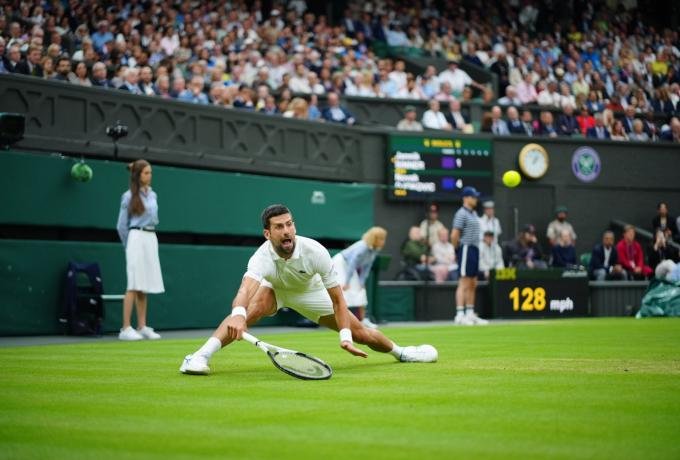 novak_1