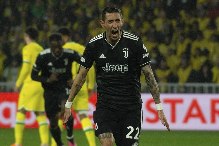 dimaria