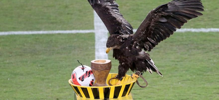 fbcd51c2-fcb0-42d3-a784-3822578b4c96.jpg