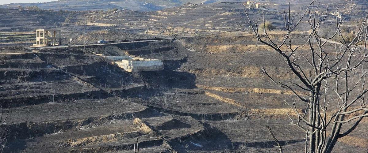 Δεν καταγράφει λάθη στους χειρισμούς της η Πυροσβεστική, ρίχνει ευθύνες στα ακαθάριστα οικόπεδα