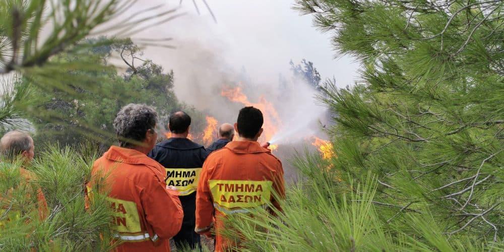 Απαντά στον Χριστοφίδη το Τμήμα Δασών-Ικανοποιημένο από το ΥΠΟΙΚ για τη στελέχωση