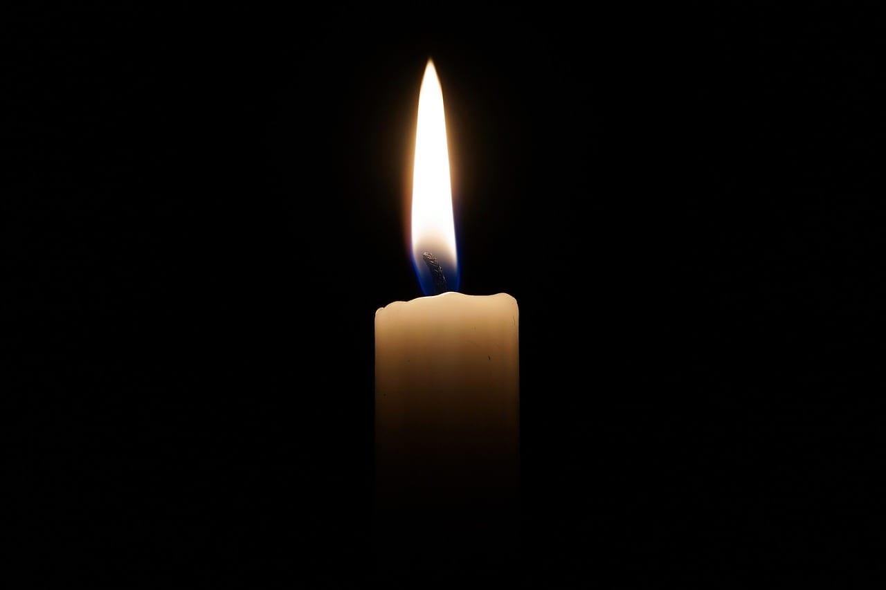 4433067768542714 image