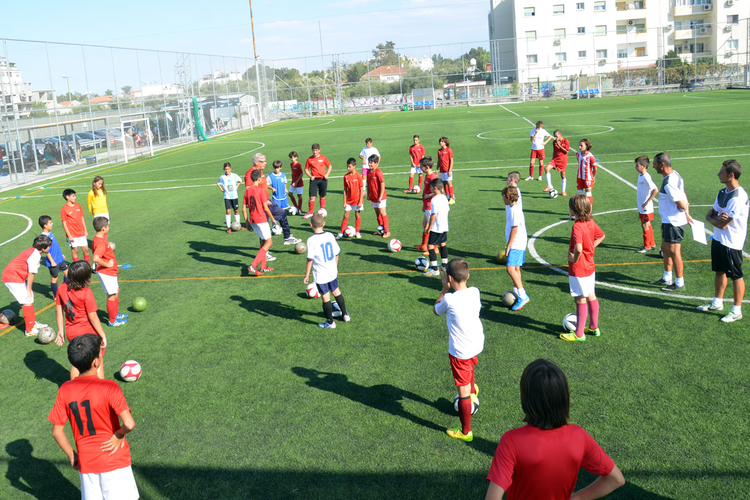 03d32019-56d4-47da-919c-adaa0016ce6f.jpg