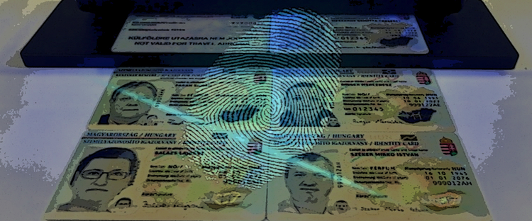 cd22369c-8b50-4789-89fe-71dcdcfeadd0.jpg
