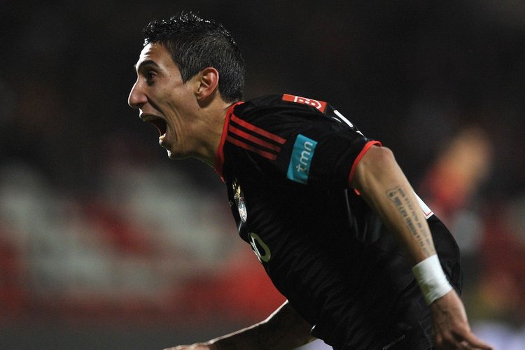 dimaria-benfica